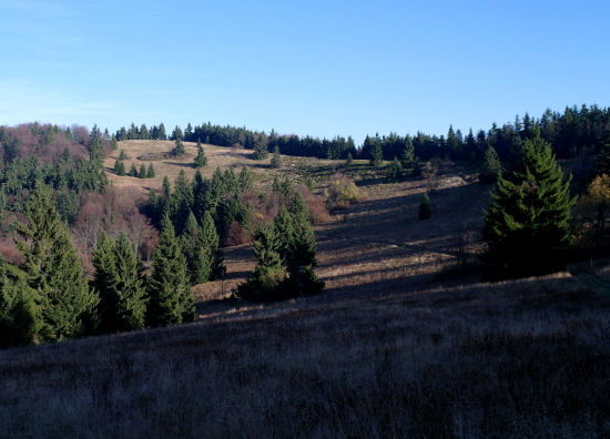 Velký Javorník (1071 m)